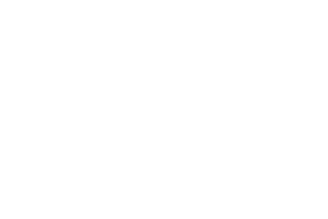 Dolphitech